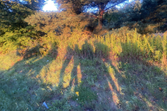 538154031_1075338334786755_5411111708993230309_n