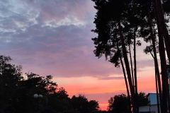 542750195_1080535920933663_322844427937321100_n