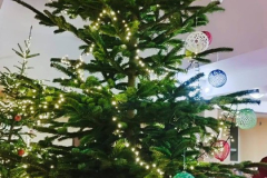 600549856_868084259103521_6864482180418851919_n